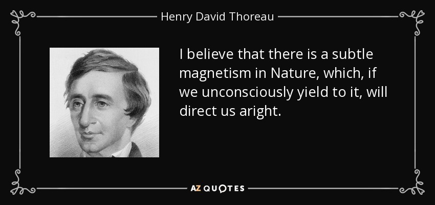 I believe that there is a subtle magnetism in Nature, which, if we unconsciously yield to it, will direct us aright. - Henry David Thoreau