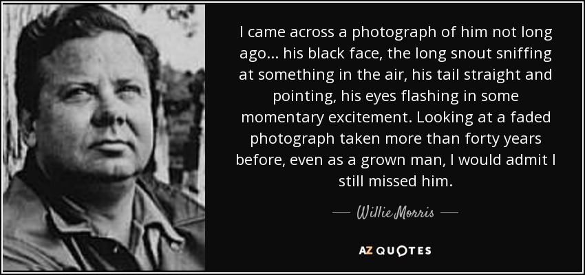 I came across a photograph of him not long ago... his black face, the long snout sniffing at something in the air, his tail straight and pointing, his eyes flashing in some momentary excitement. Looking at a faded photograph taken more than forty years before, even as a grown man, I would admit I still missed him. - Willie Morris