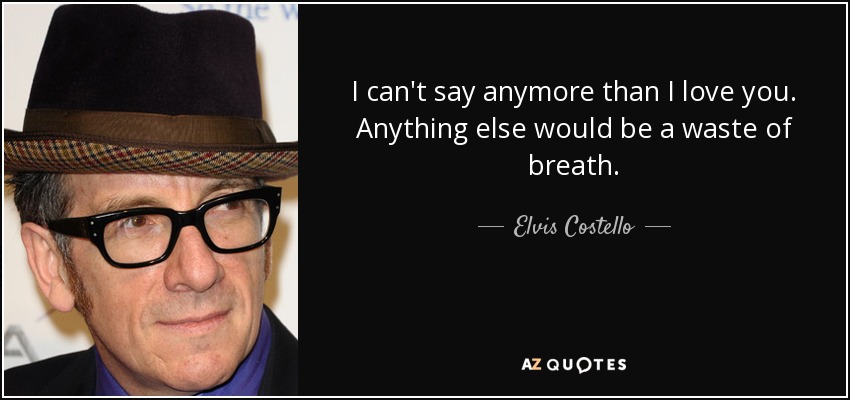 I can't say anymore than I love you. Anything else would be a waste of breath. - Elvis Costello
