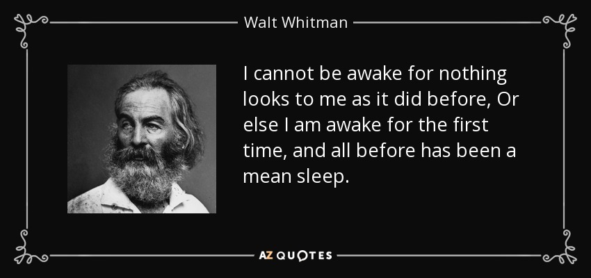 I cannot be awake for nothing looks to me as it did before, Or else I am awake for the first time, and all before has been a mean sleep. - Walt Whitman