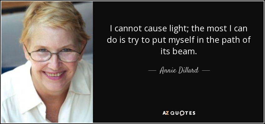 I cannot cause light; the most I can do is try to put myself in the path of its beam. - Annie Dillard