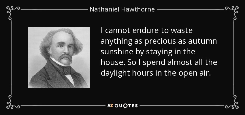 I cannot endure to waste anything as precious as autumn sunshine by staying in the house. So I spend almost all the daylight hours in the open air. - Nathaniel Hawthorne