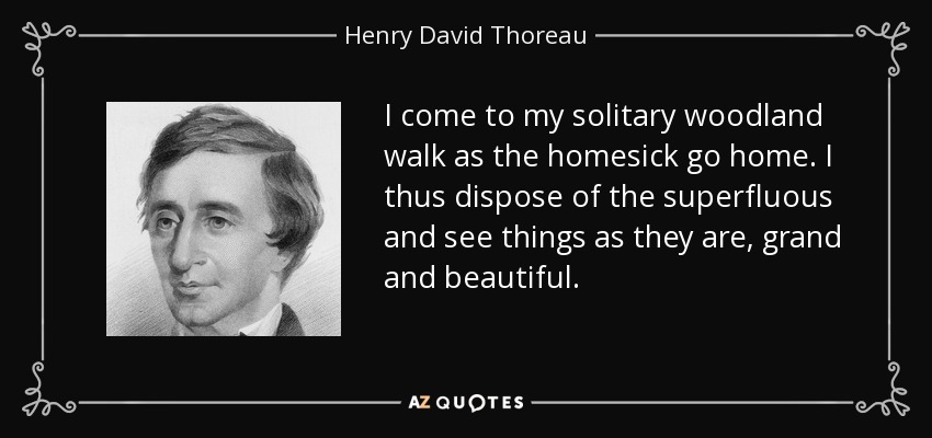 I come to my solitary woodland walk as the homesick go home. I thus dispose of the superfluous and see things as they are, grand and beautiful. - Henry David Thoreau