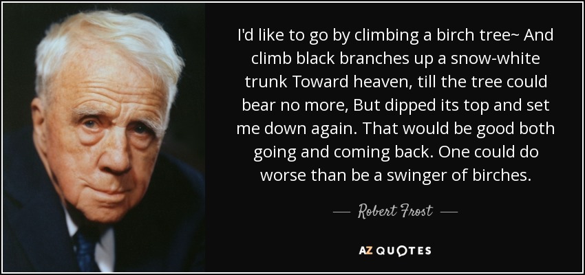 I'd like to go by climbing a birch tree~ And climb black branches up a snow-white trunk Toward heaven, till the tree could bear no more, But dipped its top and set me down again. That would be good both going and coming back. One could do worse than be a swinger of birches. - Robert Frost