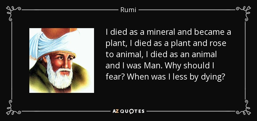 I died as a mineral and became a plant, I died as a plant and rose to animal, I died as an animal and I was Man. Why should I fear? When was I less by dying? - Rumi