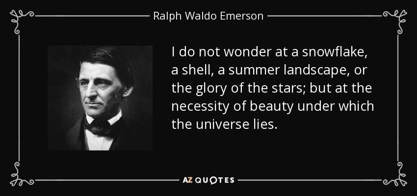 I do not wonder at a snowflake, a shell, a summer landscape, or the glory of the stars; but at the necessity of beauty under which the universe lies. - Ralph Waldo Emerson