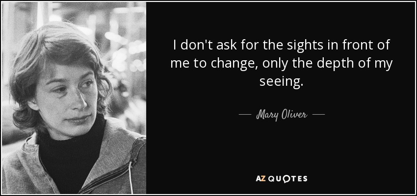 I don't ask for the sights in front of me to change, only the depth of my seeing. - Mary Oliver