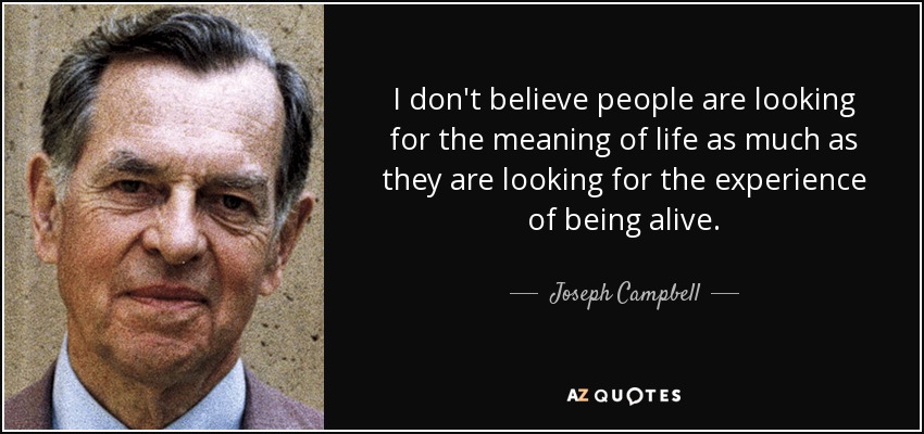 I don't believe people are looking for the meaning of life as much as they are looking for the experience of being alive. - Joseph Campbell