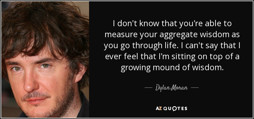 I don't know that you're able to measure your aggregate wisdom as you go through life. I can't say that I ever feel that I'm sitting on top of a growing mound of wisdom. - Dylan Moran