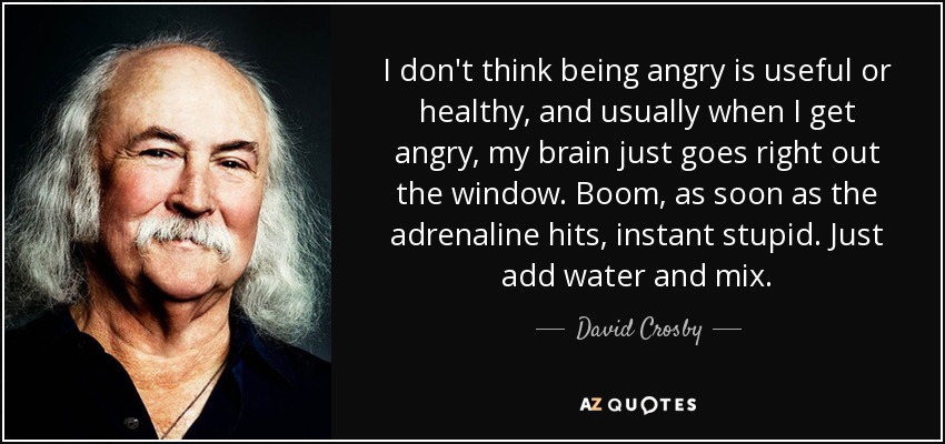 I don't think being angry is useful or healthy, and usually when I get angry, my brain just goes right out the window. Boom, as soon as the adrenaline hits, instant stupid. Just add water and mix. - David Crosby