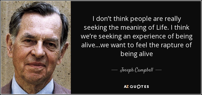 I don’t think people are really seeking the meaning of Life. I think we’re seeking an experience of being alive…we want to feel the rapture of being alive - Joseph Campbell