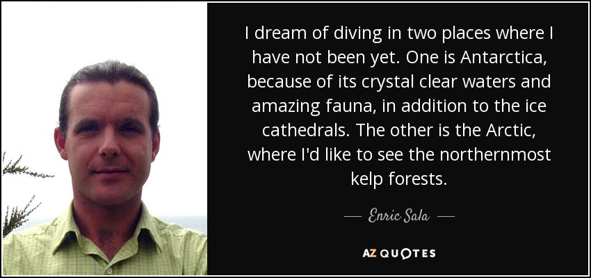 I dream of diving in two places where I have not been yet. One is Antarctica, because of its crystal clear waters and amazing fauna, in addition to the ice cathedrals. The other is the Arctic, where I'd like to see the northernmost kelp forests. - Enric Sala