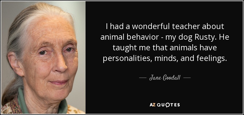 I had a wonderful teacher about animal behavior - my dog Rusty. He taught me that animals have personalities, minds, and feelings. - Jane Goodall