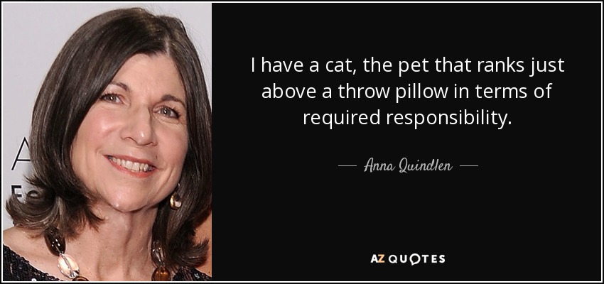 I have a cat, the pet that ranks just above a throw pillow in terms of required responsibility. - Anna Quindlen
