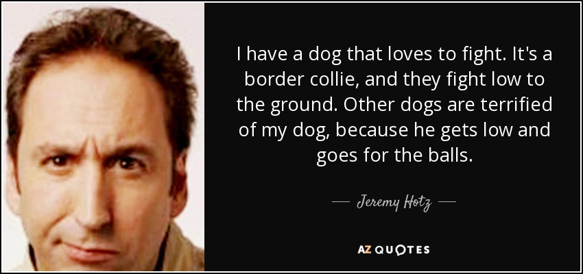 I have a dog that loves to fight. It's a border collie, and they fight low to the ground. Other dogs are terrified of my dog, because he gets low and goes for the balls. - Jeremy Hotz