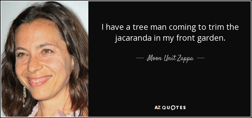 I have a tree man coming to trim the jacaranda in my front garden. - Moon Unit Zappa