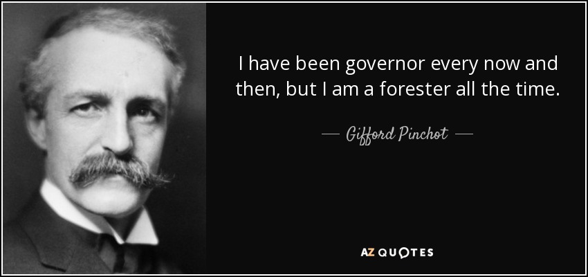 I have been governor every now and then, but I am a forester all the time. - Gifford Pinchot