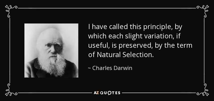 I have called this principle, by which each slight variation, if useful, is preserved, by the term of Natural Selection. - Charles Darwin