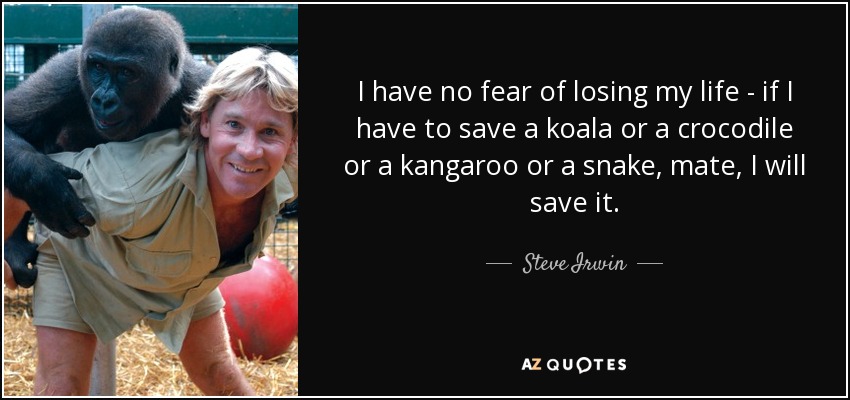 I have no fear of losing my life - if I have to save a koala or a crocodile or a kangaroo or a snake, mate, I will save it. - Steve Irwin