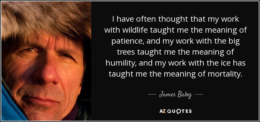 I have often thought that my work with wildlife taught me the meaning of patience, and my work with the big trees taught me the meaning of humility, and my work with the ice has taught me the meaning of mortality. - James Balog
