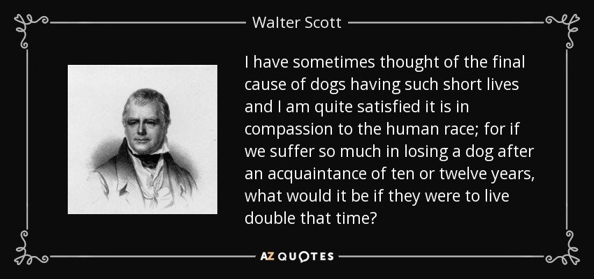 I have sometimes thought of the final cause of dogs having such short lives and I am quite satisfied it is in compassion to the human race; for if we suffer so much in losing a dog after an acquaintance of ten or twelve years, what would it be if they were to live double that time? - Walter Scott