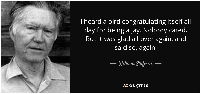 I heard a bird congratulating itself all day for being a jay. Nobody cared. But it was glad all over again, and said so, again. - William Stafford