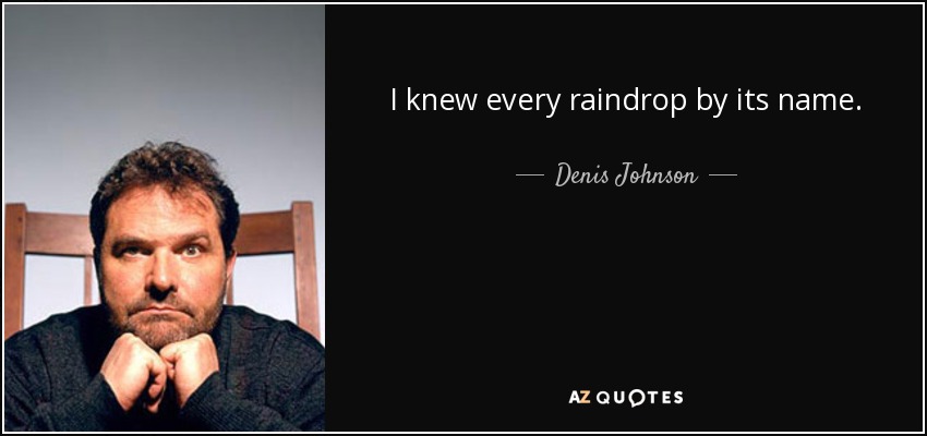 I knew every raindrop by its name. - Denis Johnson