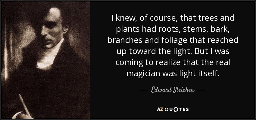 I knew, of course, that trees and plants had roots, stems, bark, branches and foliage that reached up toward the light. But I was coming to realize that the real magician was light itself. - Edward Steichen