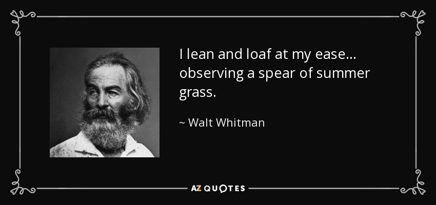 I lean and loaf at my ease... observing a spear of summer grass. - Walt Whitman