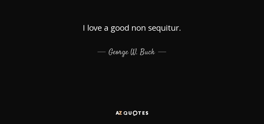 I love a good non sequitur. - George W. Buck