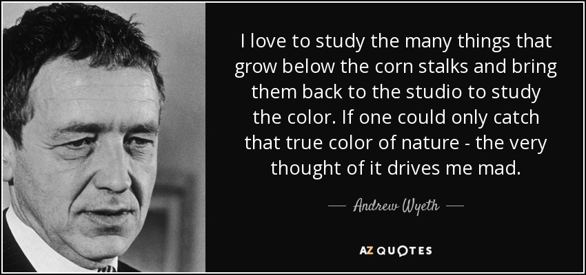 I love to study the many things that grow below the corn stalks and bring them back to the studio to study the color. If one could only catch that true color of nature - the very thought of it drives me mad. - Andrew Wyeth