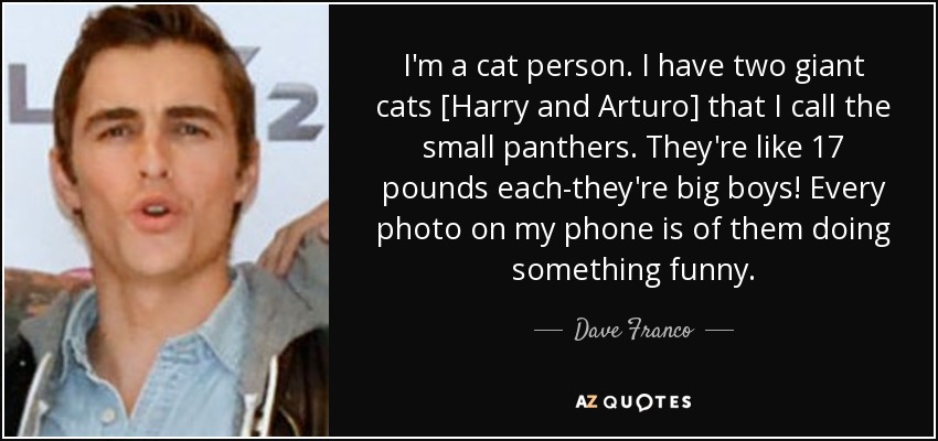 I'm a cat person. I have two giant cats [Harry and Arturo] that I call the small panthers. They're like 17 pounds each-they're big boys! Every photo on my phone is of them doing something funny. - Dave Franco