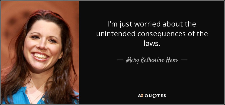I'm just worried about the unintended consequences of the laws. - Mary Katharine Ham