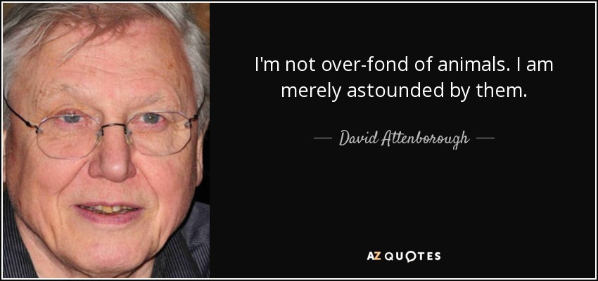 I'm not over-fond of animals. I am merely astounded by them. - David Attenborough