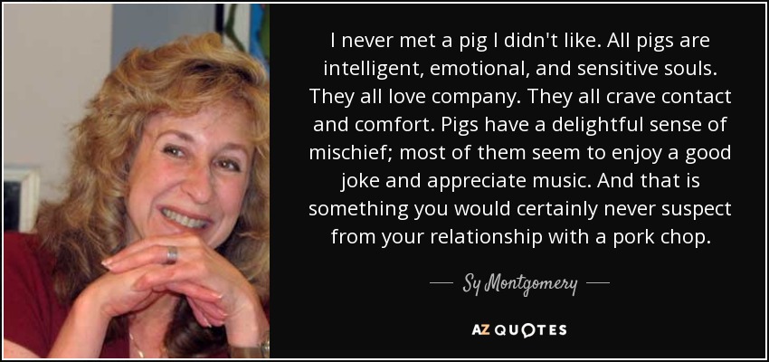 I never met a pig I didn't like. All pigs are intelligent, emotional, and sensitive souls. They all love company. They all crave contact and comfort. Pigs have a delightful sense of mischief; most of them seem to enjoy a good joke and appreciate music. And that is something you would certainly never suspect from your relationship with a pork chop. - Sy Montgomery