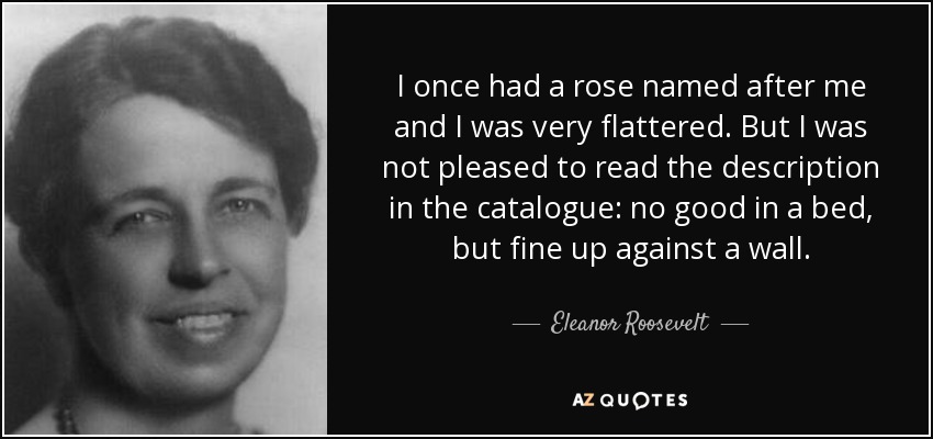 I once had a rose named after me and I was very flattered. But I was not pleased to read the description in the catalogue: no good in a bed, but fine up against a wall. - Eleanor Roosevelt
