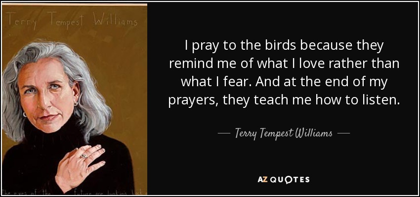 I pray to the birds because they remind me of what I love rather than what I fear. And at the end of my prayers, they teach me how to listen. - Terry Tempest Williams