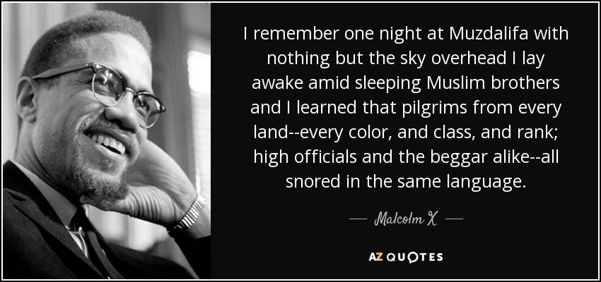 I remember one night at Muzdalifa with nothing but the sky overhead I lay awake amid sleeping Muslim brothers and I learned that pilgrims from every land--every color, and class, and rank; high officials and the beggar alike--all snored in the same language. - Malcolm X