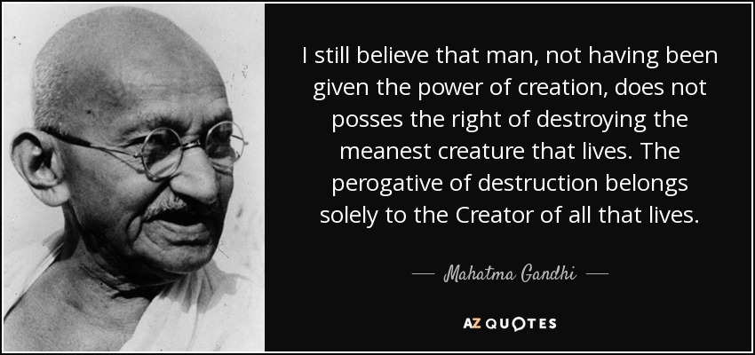 I still believe that man, not having been given the power of creation, does not posses the right of destroying the meanest creature that lives. The perogative of destruction belongs solely to the Creator of all that lives. - Mahatma Gandhi