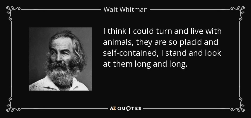 I think I could turn and live with animals, they are so placid and self-contained, I stand and look at them long and long. - Walt Whitman