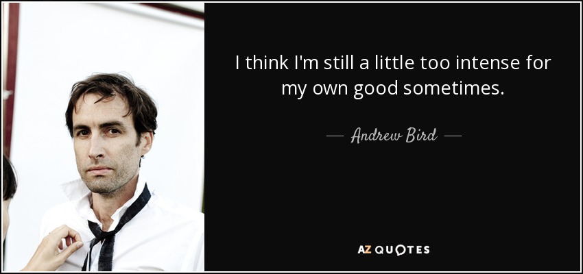 I think I'm still a little too intense for my own good sometimes. - Andrew Bird