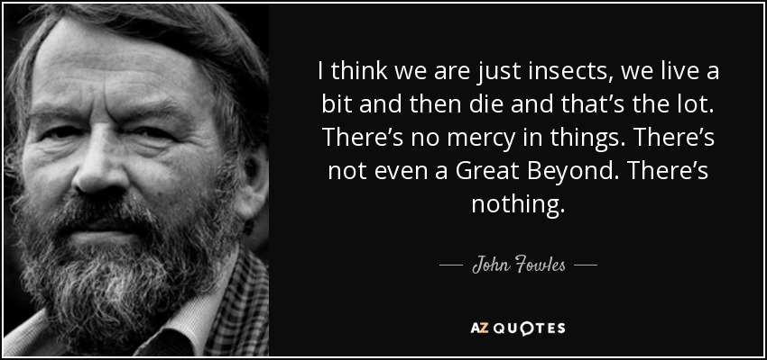 I think we are just insects, we live a bit and then die and that’s the lot. There’s no mercy in things. There’s not even a Great Beyond. There’s nothing. - John Fowles