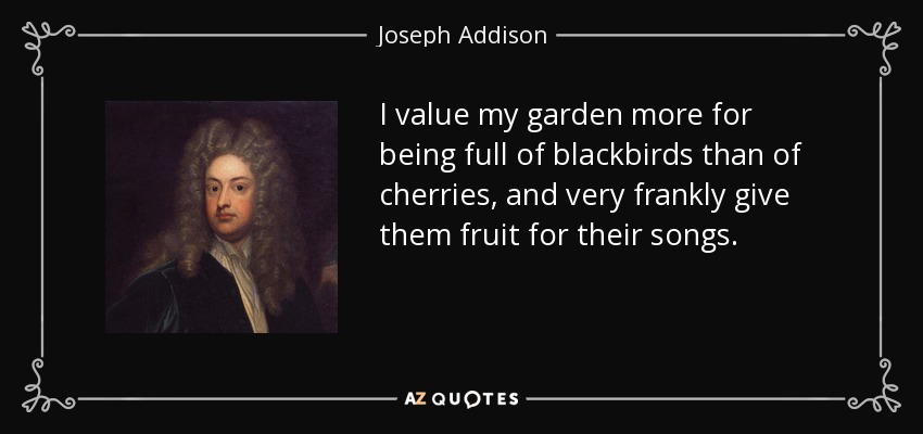 I value my garden more for being full of blackbirds than of cherries, and very frankly give them fruit for their songs. - Joseph Addison