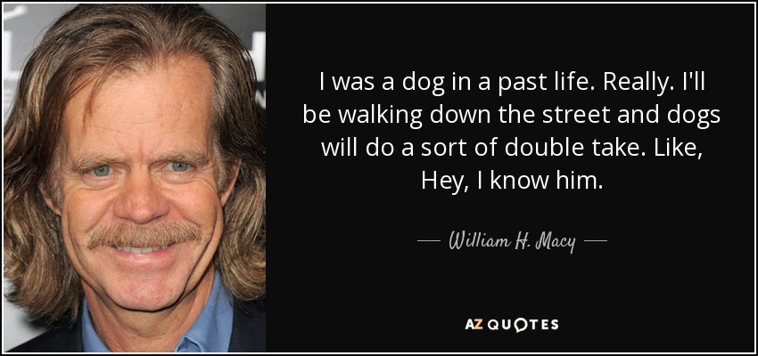 I was a dog in a past life. Really. I'll be walking down the street and dogs will do a sort of double take. Like, Hey, I know him. - William H. Macy