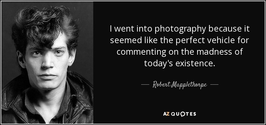 I went into photography because it seemed like the perfect vehicle for commenting on the madness of today's existence. - Robert Mapplethorpe