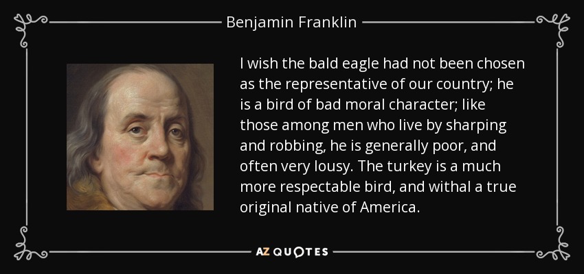 I wish the bald eagle had not been chosen as the representative of our country; he is a bird of bad moral character; like those among men who live by sharping and robbing, he is generally poor, and often very lousy. The turkey is a much more respectable bird, and withal a true original native of America. - Benjamin Franklin
