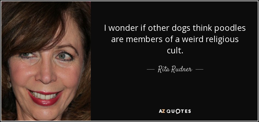 I wonder if other dogs think poodles are members of a weird religious cult. - Rita Rudner