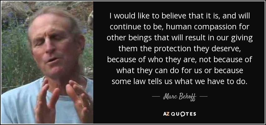 I would like to believe that it is, and will continue to be, human compassion for other beings that will result in our giving them the protection they deserve, because of who they are, not because of what they can do for us or because some law tells us what we have to do. - Marc Bekoff