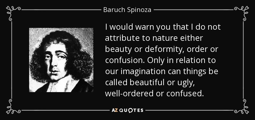 I would warn you that I do not attribute to nature either beauty or deformity, order or confusion. Only in relation to our imagination can things be called beautiful or ugly, well-ordered or confused. - Baruch Spinoza