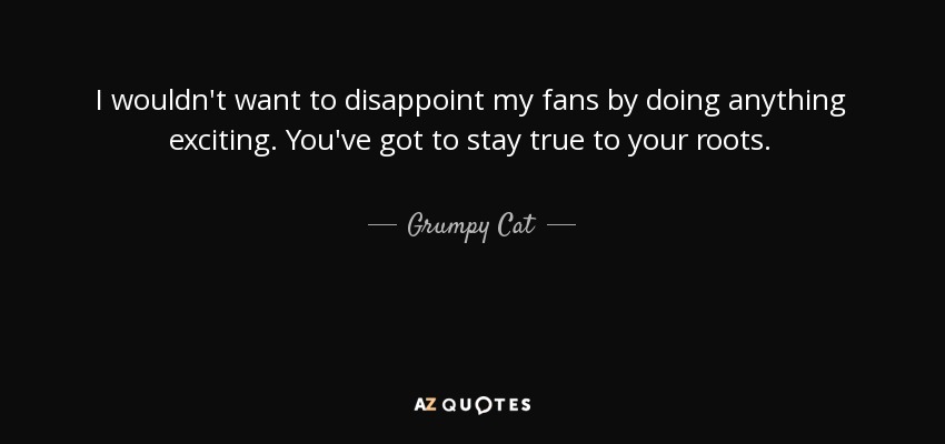 I wouldn't want to disappoint my fans by doing anything exciting. You've got to stay true to your roots. - Grumpy Cat